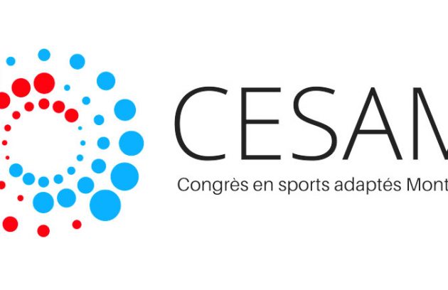 Report on Montreal’s Adapted Sports’ Conference