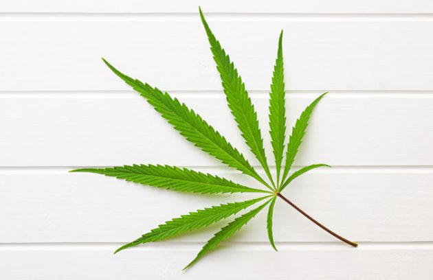 Légalisation cannabis - Impact sur cannabis médical