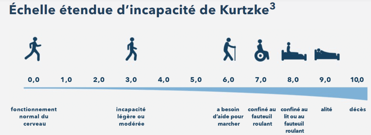 echelle d'incapacite